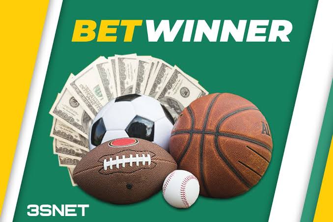 Comprehensive BetWinner Review Discover the Best Features and Offers